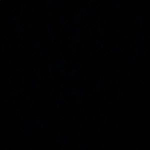 Meet your Posher, Fatima